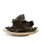 2017 Shoumei Fuding White Tea Verdant Pavilion